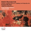 Prague Chamber Orchestra - Chamber Symphony, Op. 110a: I. Largo - attacca