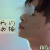 张紫豪 - 我的女孩