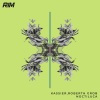 Roberth Grob、Kassier - Noctiluca (Radio Edit)
