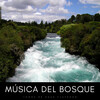 Musica Para Dormir Profundamente、Musica relajante dormir、Ruido Del Sueno - Buenas Noches