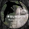 CEV's、Julien Cadet、Wallas - The Real Thing