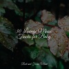 Meditation Music Experience、Bath Spa Relaxing Music Zone、Relajación - Serene Mist