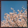 全健浩、김대우 - 사랑을 시작하는 봄날에 (with 김대우)(Start of our spring love)