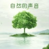 丹莉《流水声》[MP3/LRC]