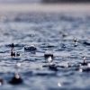 桂馥兰芳 - 清晨的雨声 大自然的声音 纯音乐