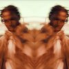 Kingstanis、Shaka - Not Alone (Explicit)