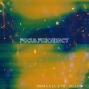 Focus Frequency《Spacious White Noise》[MP3/LRC]