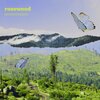 Morningsiders - Rosewood