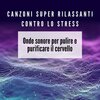 Ludovico Allevia - Melodia di pianoforte contro lo stress