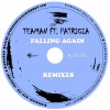 Teaman、Soul Fleva、Patricia - Falling Again (Soul Fleva Classical Remix)