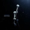 Neon Pearl - The Depths