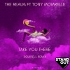the realm、tony momrelle - Take You There (Squirell Soulful Mix)