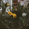 Dozy Sounds - Vienna (Rain)