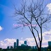 Dr. Wave - Spring Perfume