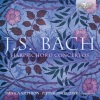Sayuri Yamagata、Johann Sebastian Bach、Staas Swierstra、Musica Amphion - I. Allegro