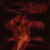 Connected - God Complex (Explicit)