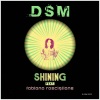DSM、Fabiana Rosciglione - Shining
