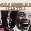 John Hammond - I Wish You Would (LP版)