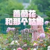 曲樑、蔚春城、徐子默 - 蔷薇花和那个姑娘