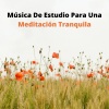 #Relajante、Relajación y Serenidad、Latidos Binaurales Colectivo《Mira Adentro Tuyo》[MP3/LRC]