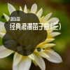 刘连国 - 爱情恰恰 (笛子曲)