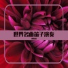 刘连国 - 白兰鸽 (笛子曲)