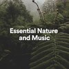 Essential Nature Sounds - Essential Nature and Music, Pt. 1