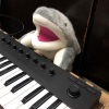 KEST - 第三人称 Cover Hush！