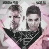 Morgan Page、Nadia Ali - Carry Me (Nilson & The 8th Note Remix)