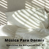 Reiki、Paz Nirvana、Ruido Del Sueno - Música Para Dormir y Soñar