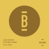 Luka Sambe、Zankee Gulati - Civic Path