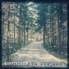 Stiftelsen - Ta dig hem