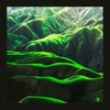 Enzo Elia - In Fondo A Destra