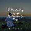 Yoga Trainer、Rainfall、Study Power - Sleeping Music