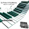Dj Phaks、KayMelody - Tribute to vigro deep (KayMelody Remix Radio Edit)