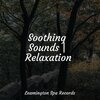 Relaxing Mindfulness Meditation Relaxation Maestro、ambient arena、Mindfulness Mediation World - Lovely Whispers