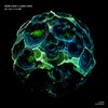 Gene Karz、Lesia Karz - Me And You