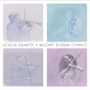 Acacia Quartet - Vivace ma non troppo