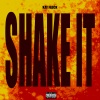 Kay flock - Shake It (Instrumental)
