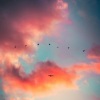 Baby Sleep Sounds、Brown Noise、Sleepy Baby Princess Music Academy - Lullaby Noise to Sleep Easy