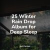 Deep Sleep Music Experience、Study Zone、Sleep Sound of Nature - Crackling Embers