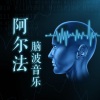 任意风烟 - 1.快速记忆高效学习│17.快速记忆高效学习方法-系列3