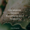 Música a Relajarse、Sons da natureza HD、Masajes Spa - Meditación Sin Consolidar