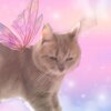 layla - Angel