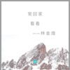 林金煌 - 常回家看看