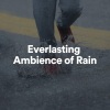 Rain Sounds、Natural Dream Makers、Musica Relante - Amazon Forest Rain