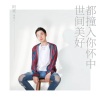 阿豪 - 世间美好都撞入你怀中