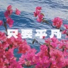 VibeKnife - 只要平凡