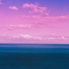 顾之一 - thank you