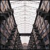 l.ucas - isolate